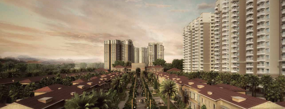 Shapoorji Pallonji Sensorium Blog!